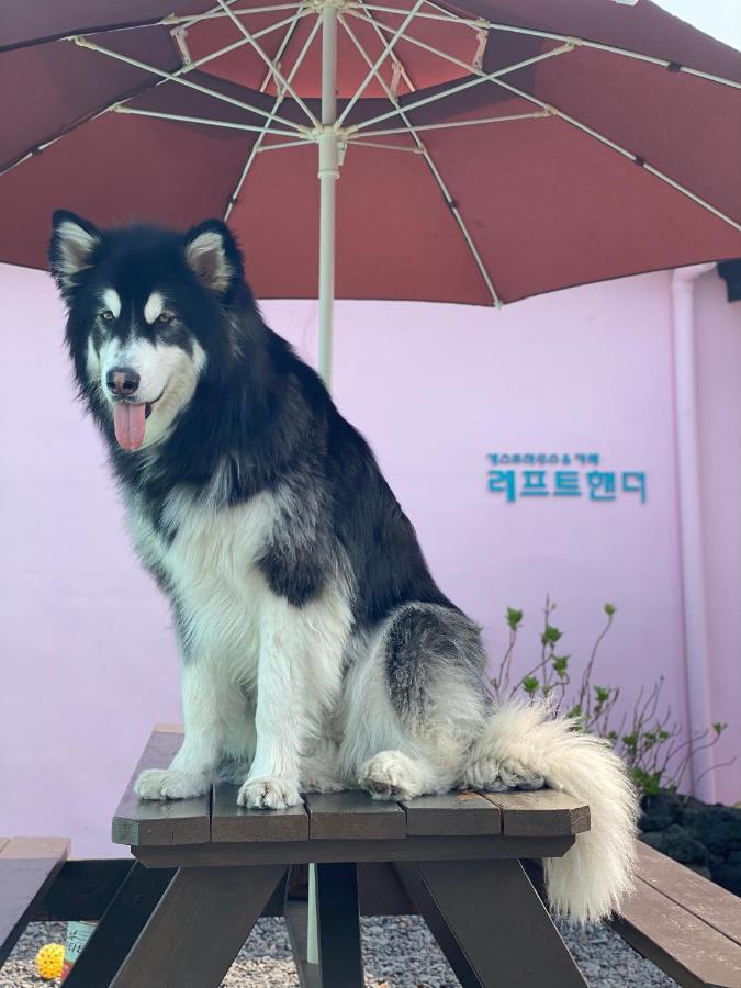 Lefthander Guesthouse เมืองเชจู ภายนอก รูปภาพ
